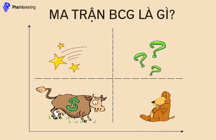 Cách xây dựng mô hình ma trận BCG